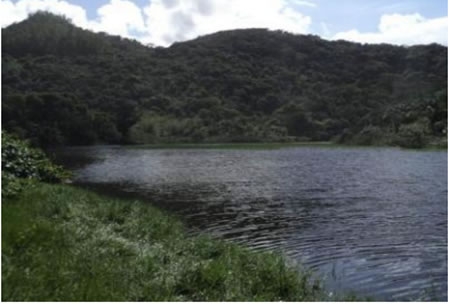   Figura 27.  Lagoa localizada no canto norte da Prainha Branca, que  recebe grande parte dos efluentes domésticos sem tratamento.