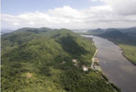  Figura 09.  Vegetação de Floresta Ombrófila Densa recobrindo a maior parte da Serra do Guararu.